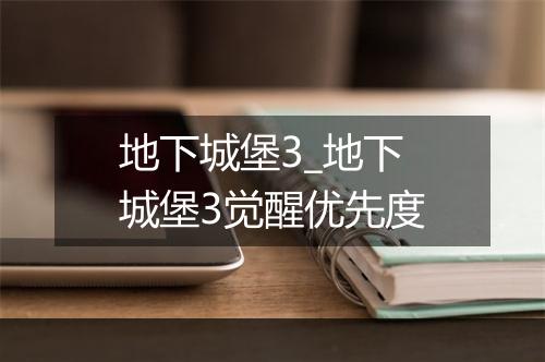 地下城堡3_地下城堡3觉醒优先度