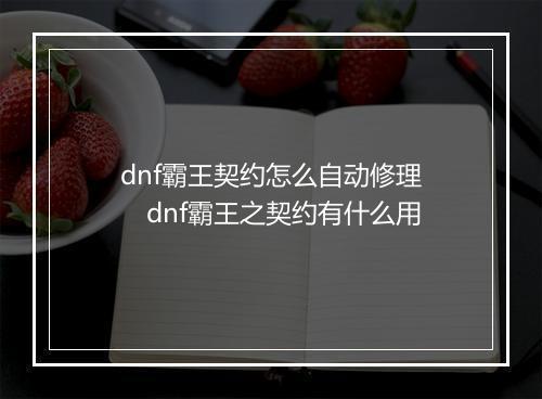 dnf霸王契约怎么自动修理　dnf霸王之契约有什么用